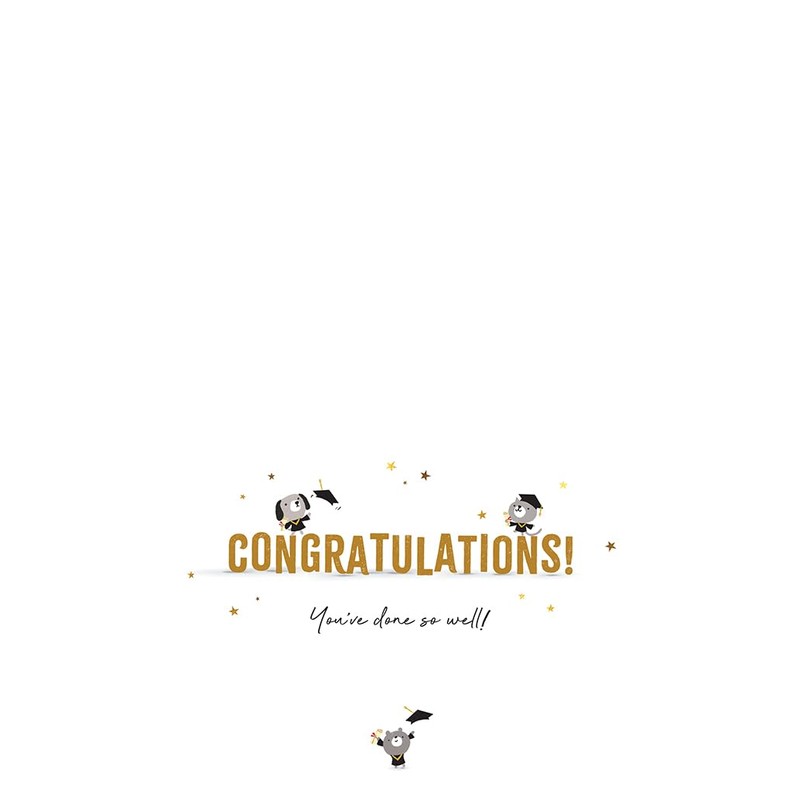 Piccadilly Greetings You Did It! Graduation Card - 8 x