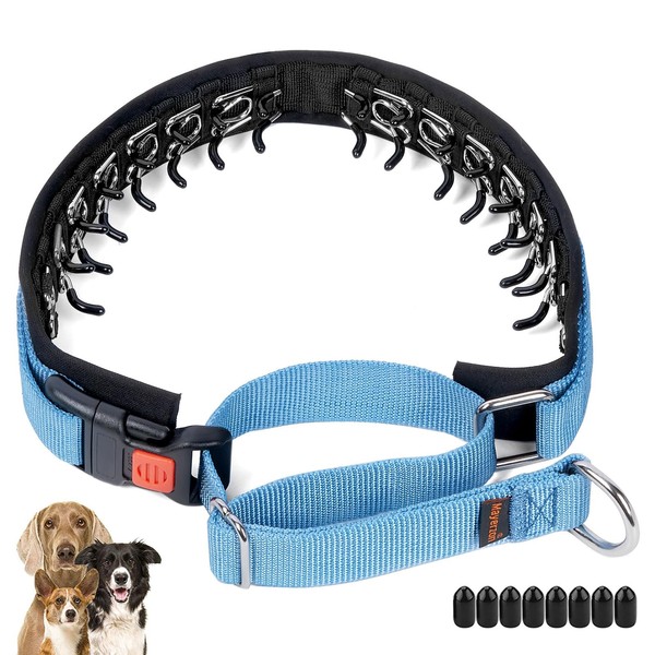 Mayerzon No Pull Dog Collar, Martingale Collar for Small Medium