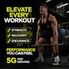Micronised Creatine Monohydrate Powder 500g – 100 Servings – Creatine
