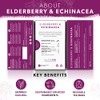 Nutra Tea - Elderberry & Echinacea Tea | Elderberry Tea