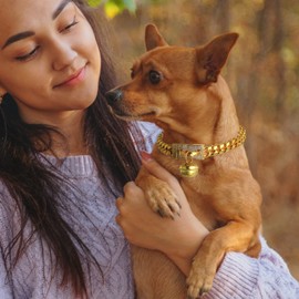 Collar de oro de 18 quilates para gato y perro, gargantilla ancha de acero inoxidable para gatitos y cachorros, cadena de eslabones cubanos de 12 mm con campana dorada