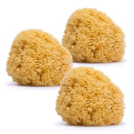 Suavinex, 3 x Baby Bath Sponges for Babies, Children and Newborns, Natural, Soft, Large and Highly Absorbent for Daily Cleaning and Hygiene of Babies, 0 Months and Above