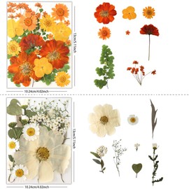 Buzidao 80Pcs Pressed Flowers, Dried Flowers Natural Pressed Flowers Bulk for Resin Molds, Nail Art, Scrapbooking, Candle Holder, Jewelry Making, Real Dried Pressed Flowers DIY Crafts Supplies Kit