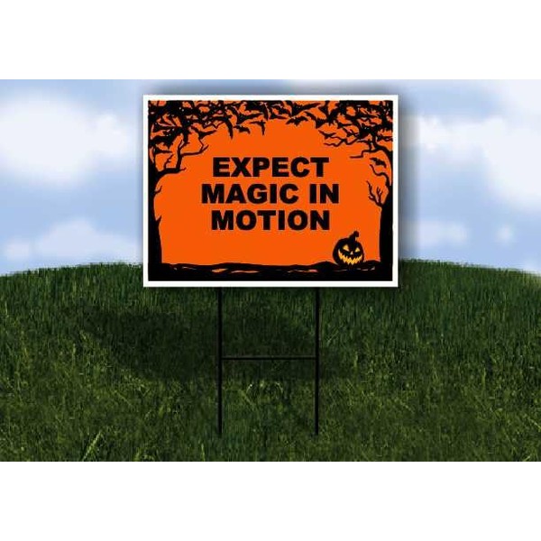 EXPECT MAGIC IN MOTION Halloween Bats and Jack O Lantern
