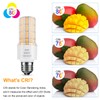 Led Light Bulb Equivalent 250w 2pcs Super Bright Led Bulbs,
