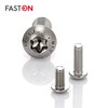 FASTON Flat Head Screws Hexalobular (TORX) M6 x 20 Stainless