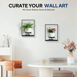 TECKED 4 Pack Black Metal Indoor Window Plant Shelves Hanging Plant Shelves Picture Frame Outdoor Plant Rack for Indoor Outdoor,Decoration Racks for Home Decor Wall