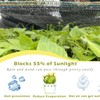 TREEVEX 55% Shade Cloth for Garden, Sunblock Mesh UV Resistant