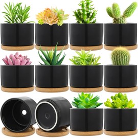 Cindeer 12 Sets Succulent Plant Pot Ceramic Succulent Pots Container Cactus Pots with Bamboo Tray Small Cylinder Flower Plant Pot with Bamboo Saucers for Plants Indoor Outdoor (Black,3 x 2.17 Inch)