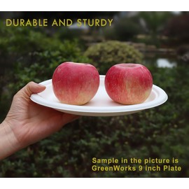 GreenWorks 100 Count 6“ Small Compostable Dessert Plates, Heavy-duty Unbleached Biodegradable Bagasse and Bamboo fiber Paper Plates | GreenWorks