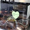 1200 Sheets 3X3in (76 * 76mm) Heart Shape Sticky Notes