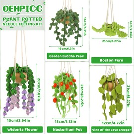 OEHPICC Needle Felting Kit, 5 Pack Hanging Plants Needle Felt Beginner Kit, Including Basic Felting Tools, Instructions, Felt Craft Kit for Indoor Outdoor Office and Home Decor
