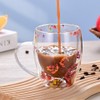 Xfeyaqlo 350 ml Cappuccino Glasses, Double-Walled Glass, Double-Walled Coffee Glasses,