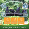 homebird Window Bird Feeder with Strong Suction Cups - (Upgraded