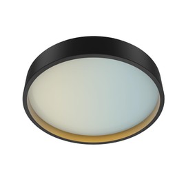 DYMOND Matte Black LED Ceiling Light 15 inch Flush Mount Dimmable Fixtures Minimalist Round 5 Colors Selectable Surface Mount Ceiling Lamp for Kitchen, Hallway, Bedroom, Living Room