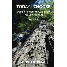 Today I Choose: Daily Intentions to Guide You Through Your Life: Volume 3