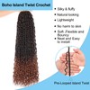 24 Inch 9 Packs Pre-Looped Boho Island Twist Crochet Braids