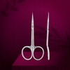 STALEKS Pro Professional Cuticle Scissors with Hooks Stainless Steel Magnolia