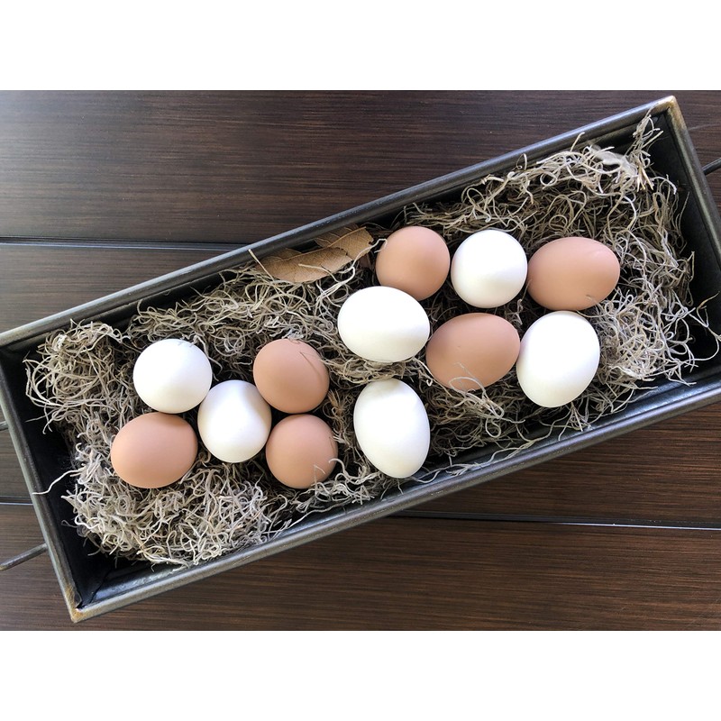 Eggcetera Ceramic Nest Eggs 12-Pack (White)