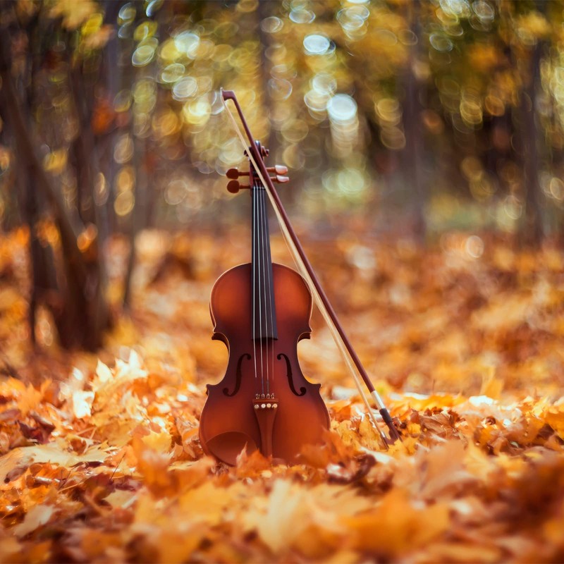 sourcing map Metal Violin Mute 3 Prong Practice Violin Silence