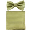 Vesuvio Napoli New formal Men's polyester pre-tied bow tie_hankie horizontal