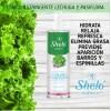 Rutina Facial Tónico+suero+ Crema Baba De Caracol Shelonabel