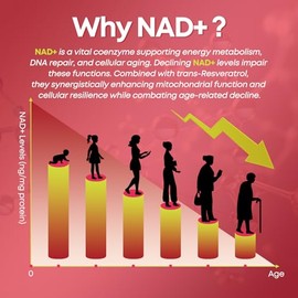 Gomitas NAD+, suplemento liposomal NAD de 1200 mg para mujeres y hombres con trans-resveratrol y extracto de pimienta negra, suplemento antienvejecimi