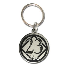 Serenity is Forever 23 Year NA Narcotics Anonymous Anniversary Medallion Keychain for Clean Birthday with 3rd Step Prayer