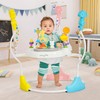 Dream On Me Zany 2-in-1 Activity Center and Bouncer in