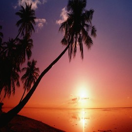 HAWAIIAN BREEZE FRAGRANCE OIL - 8 OZ - FOR CANDLE & SOAP MAKING BY VIRGINIA CANDLE SUPPLY - FREE S&H IN USA