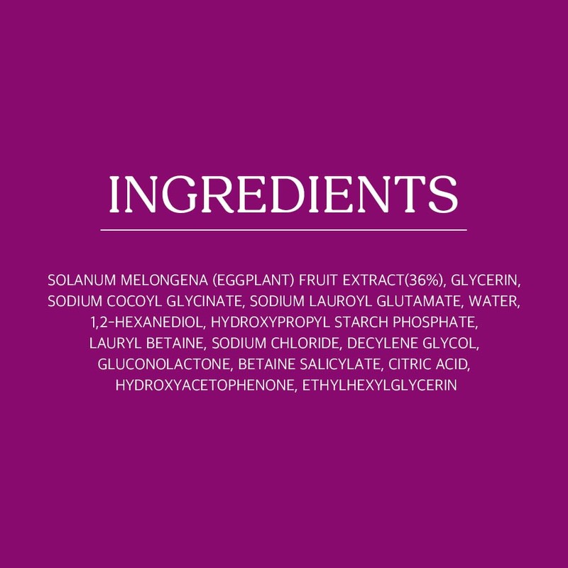 Papa Recipe Eggplant Moisturizing Cleansing Foam for Sensitive, Dehydrated, and