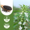 ONETANG Organic Black Sesame Powder,Plant Based,Gluten-Free,Vegan,Protein Source No Sugar,Low Temp