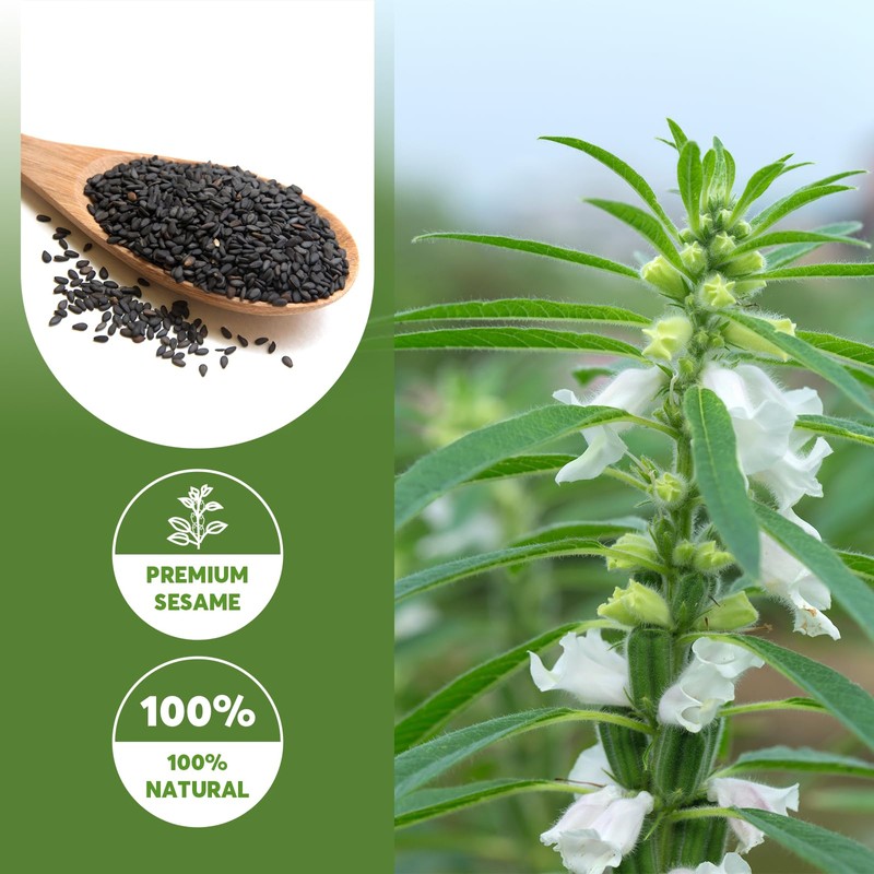 ONETANG Organic Black Sesame Powder,Plant Based,Gluten-Free,Vegan,Protein Source No Sugar,Low Temp