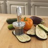 Butcher's Kitchen Impressor Meat Tenderizer and Flavor Infuser Meat Preparation