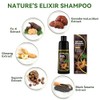 Champú Tinte Castaño Oscuro Nutrición Natural Cubrir Canas Mujer Coloración