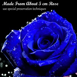 MestectPET Rose Box with 4 Infinity Roses, Blue Eternal Rose, Preserved Flowers Gift Box, Valentine's Day, Mother's Day, Birthday, Wedding Anniversary Gifts for Mother, Girlfriend, Wife, Grandma,