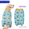 kzrfojy Dog Surgery Recovery Suit Dog Surgical Onesie for Female