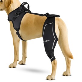 Petpanm - Dog ACL Knee Brace for Back Left Leg - with Integrated Harness - for Cruciate Ligament Injuries, Patellar Luxation, Post-Surgery Recovery. Durable, Breathable Material, Eases Pain - (XSmall)