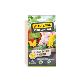 Algoflash Naturasol Yellow Traps - 10 Stickers