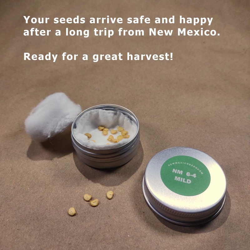New Mexico 6-4 Chile Seeds from Hatch New Mexico |