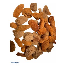 LOS MORALES SOUVENIRS Mini Esponjas Naturales.  Cosmeticos. 50 Pzas #24