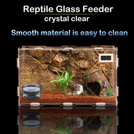 4 Pcs Glass Reptile Feeding Bowl Food Water Dish Feeder Cup for Lizard Spider Corn Snake Centipede Scorpion Crickets Small Reptile