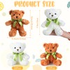 HyDren 24 Pcs Bear Bulk Plush Stuffed Animals 10 Inch