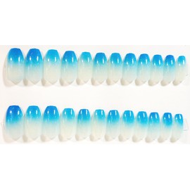 Blue Hydrangea Ombre Sparkle Glossy Ballerina Press-On Nails - 24 Pieces - Artificial Nail Kit