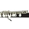 Hilax Piccolo for Beginners (1) Silver Main Unit