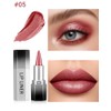 Erinde 2PCS Delineadores de Labios con Brillo, Fáciles de Aplicar,