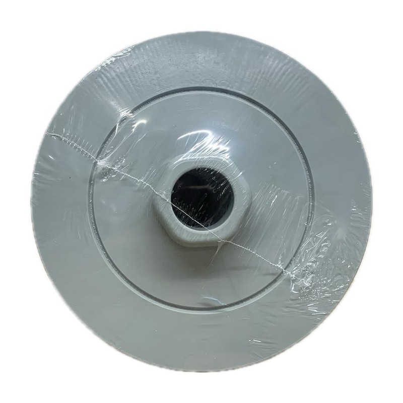 Sundance Spas MicroClean® Ultra II Complete Filter Assembly (6541-964S), White
