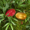 TRIXES Empty Easter Eggs Pack of 12 - Colourful -