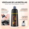 Champ Para Cubrir Canas, Tinte Instantneo Para Cabello