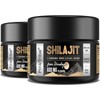 Shilajit Resin Gold Standard Shilajit - 600mg Himalayan Shilajit Blend with Ayurvedic Herbal Extracts, High Levels of Fulvic Acid, Supports Energy and Performance, 30 g (Pack of 2)